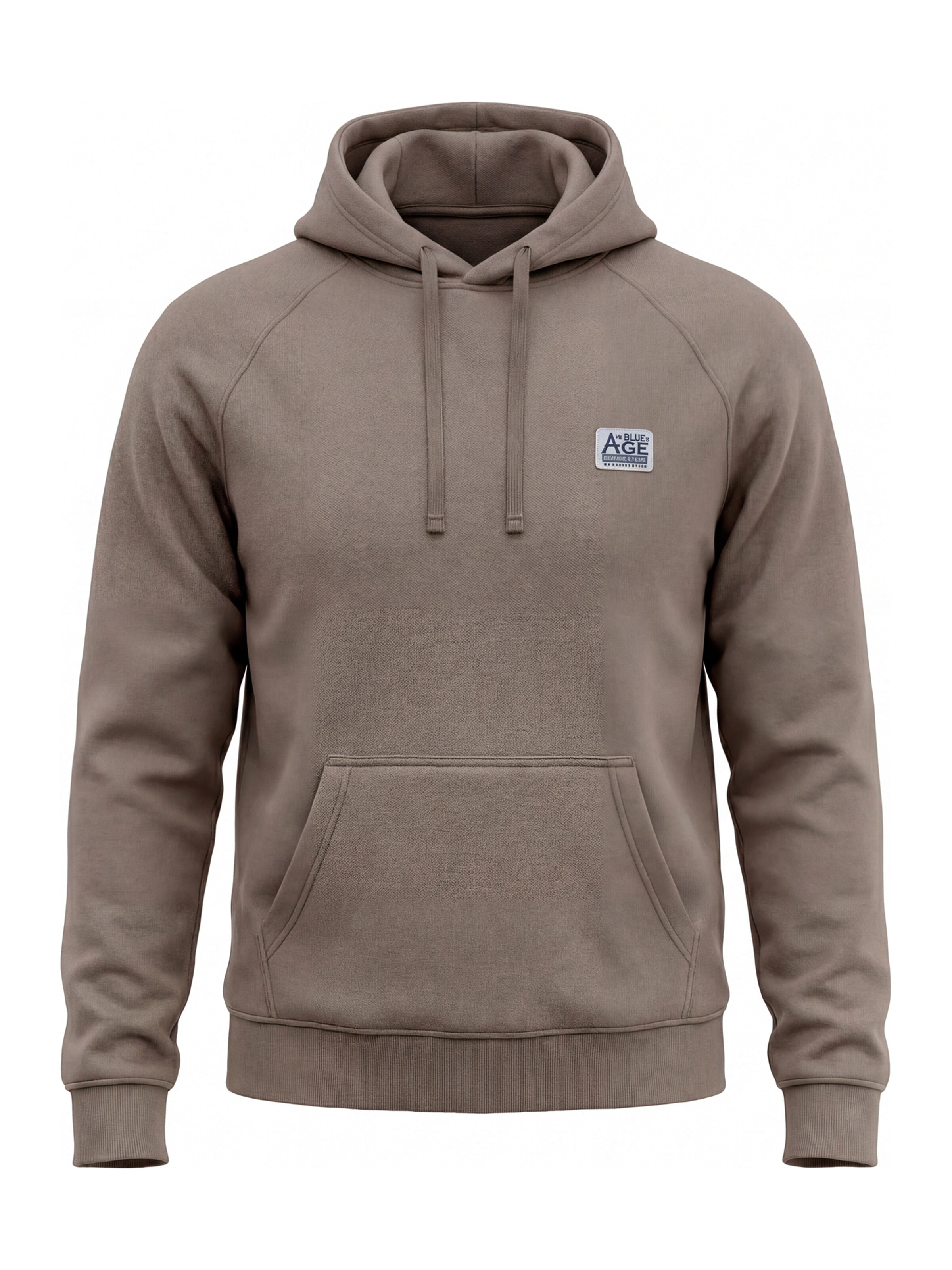 Carrera Jeans Sweatshirt 'Replica Hoodie' in Brown: front