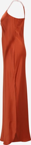 Banana Republic Tall Kleid in Orange