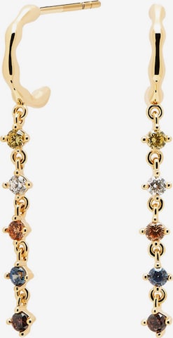 P D PAOLA Earrings in Gold: front