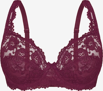 sassa BH in Lila: Vorderseite