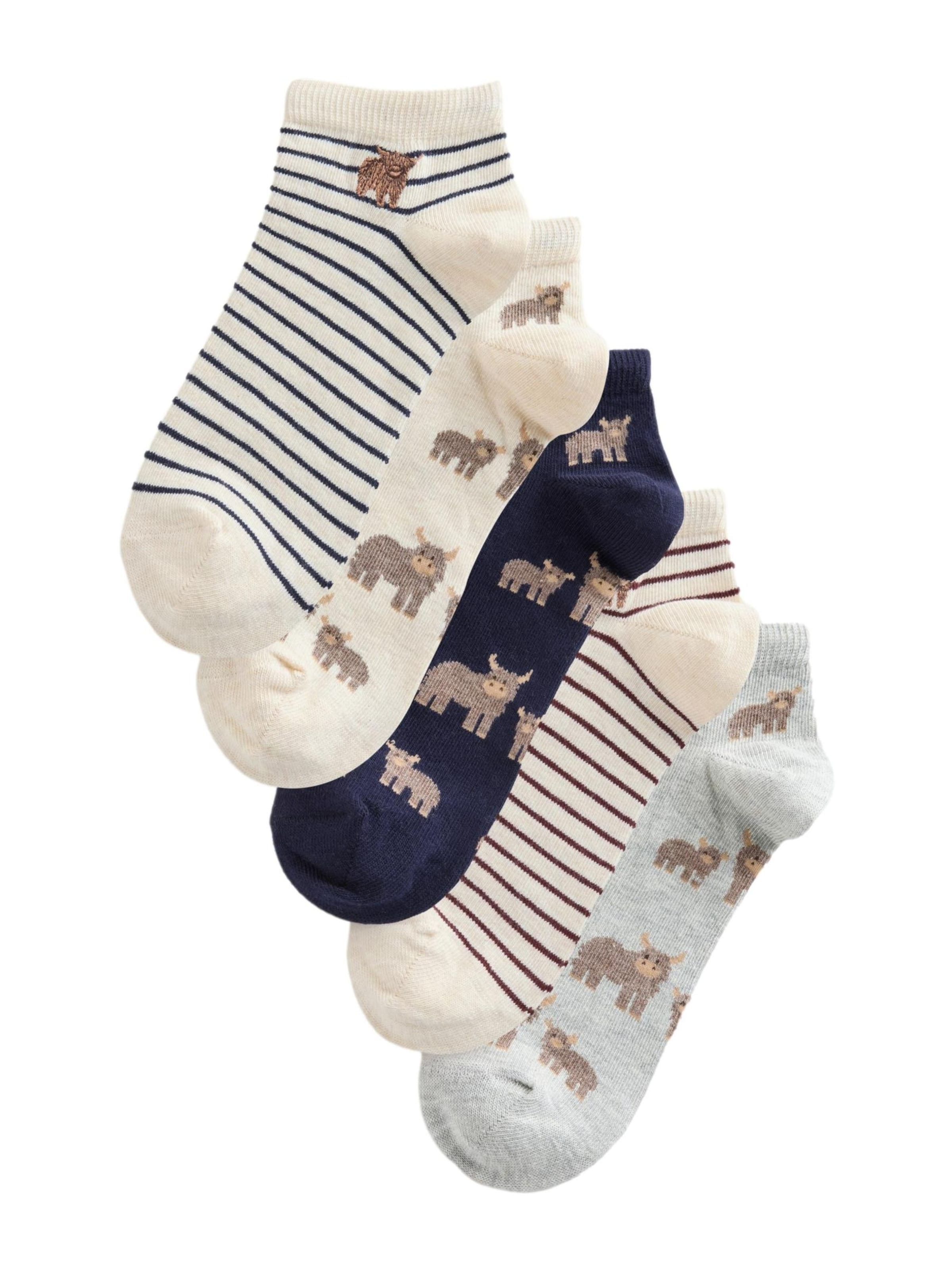 Next Skarpety 'Hamish' w kolorze beżowy: przód