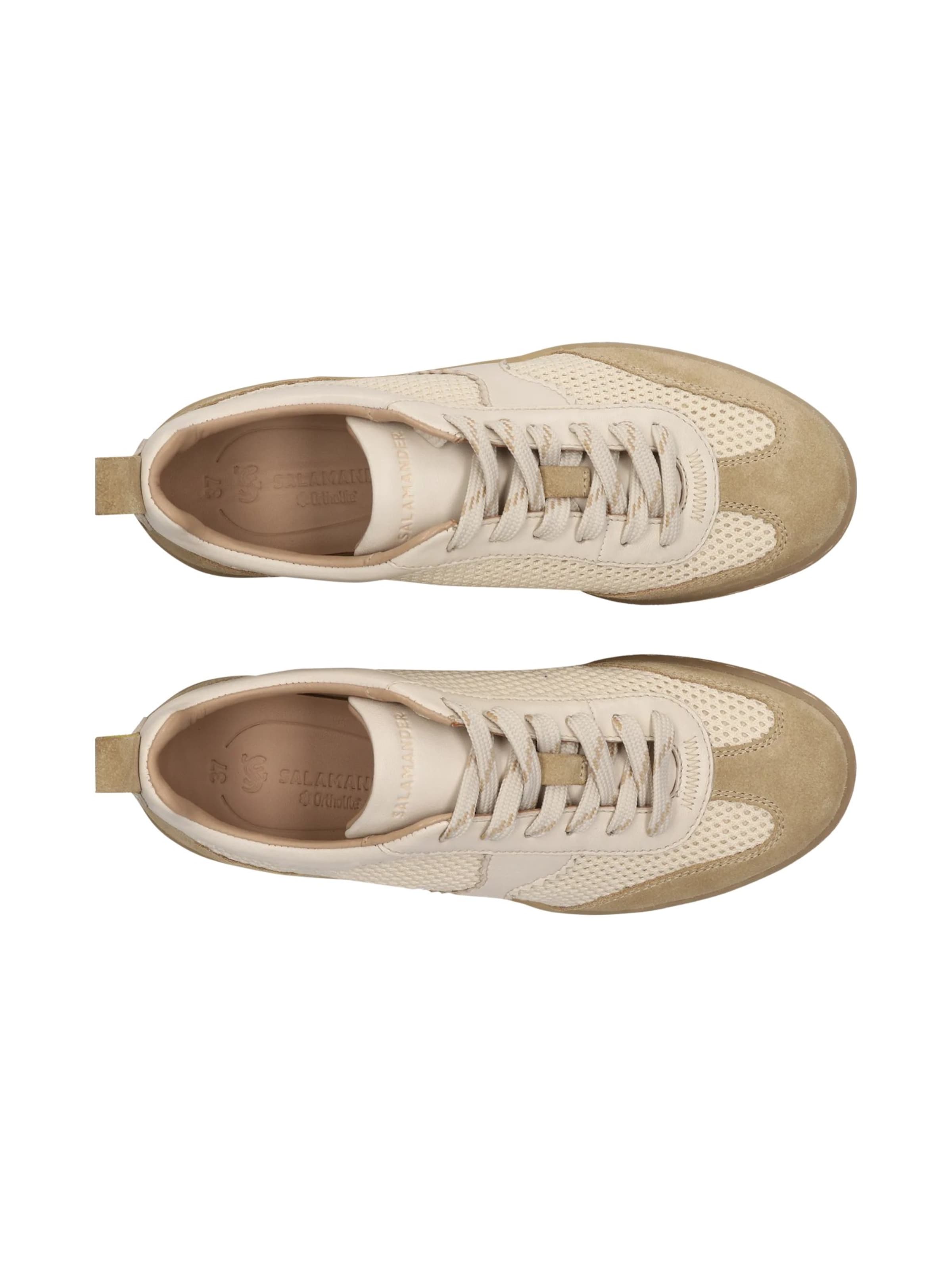 Sneaker bassa di SALAMANDER in beige