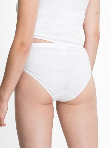 SPEIDEL Panty in White