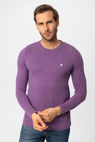 DENIM CULTURE Sweater 'LEVIN' in Purple: front