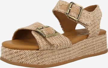 smėlio Blowfish Malibu Sandalai 'MAGICAL': priekis