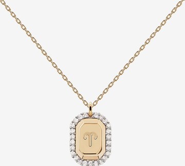 P D PAOLA Necklace in Gold: front