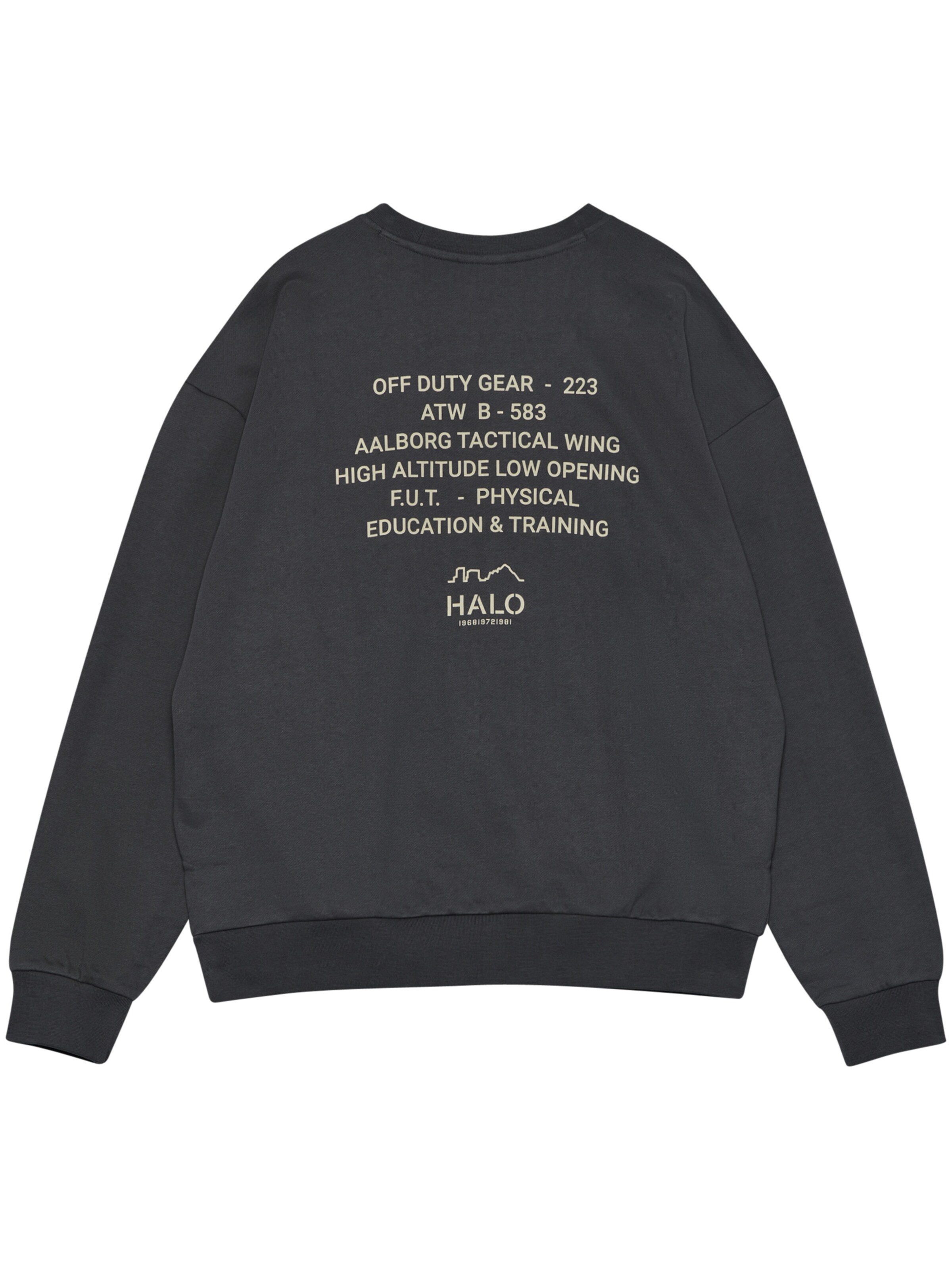 HALO Sweatshirt in Grey