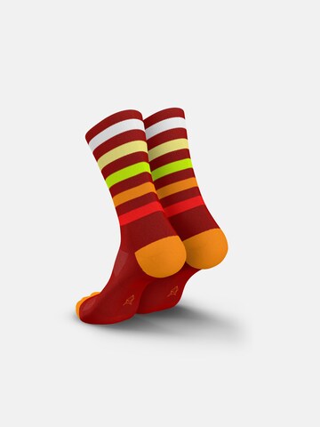 INCYLENCE Athletic Socks 'LEVELS' in Red
