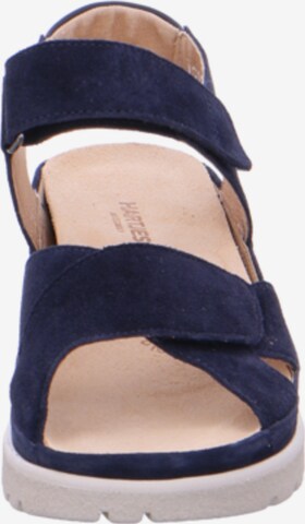 Hartjes Sandals in Blue