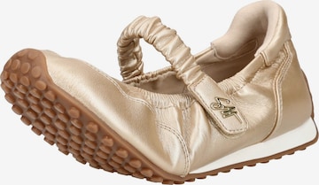 STEVE MADDEN Riemchenballerina in Gold: Vorderseite