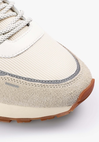 Scalpers Sneakers laag 'Rio 26' in Beige
