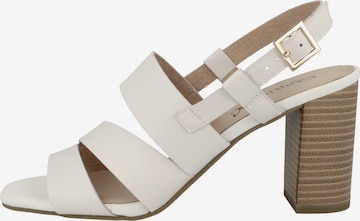 CAPRICE Sandals in White: front