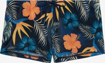 HOM Swim Shorts ' Tiki ' in Blau: predná strana