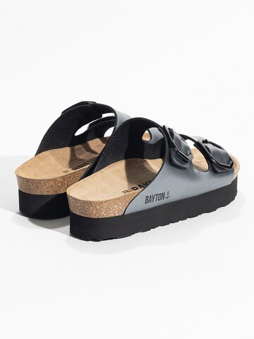 Bayton Mule 'JAPET' in Grey