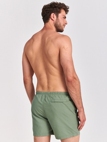 Shorts de bain Shiwi en vert