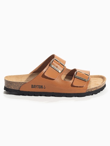 Bayton Mule 'Tracy' in Brown