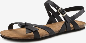 LASCANA Sandal i svart: framsida