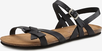 LASCANA - Sandalias en negro: frente