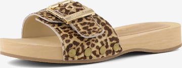 Zoccoletto di COLORS OF CALIFORNIA in marrone: frontale