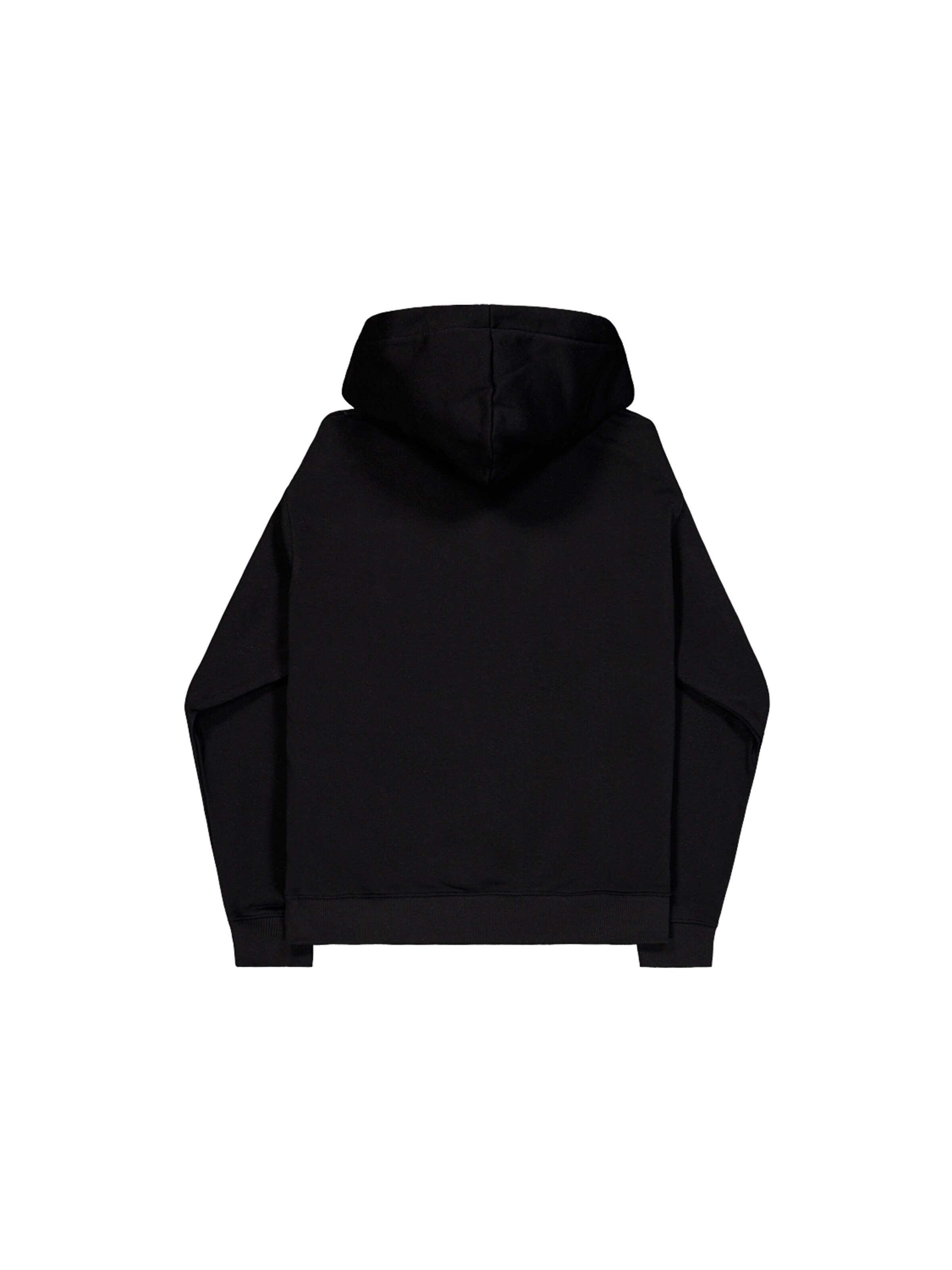 ALPHA INDUSTRIES Sweatshirt 'DTM Alpha'‌ in Schwarz
