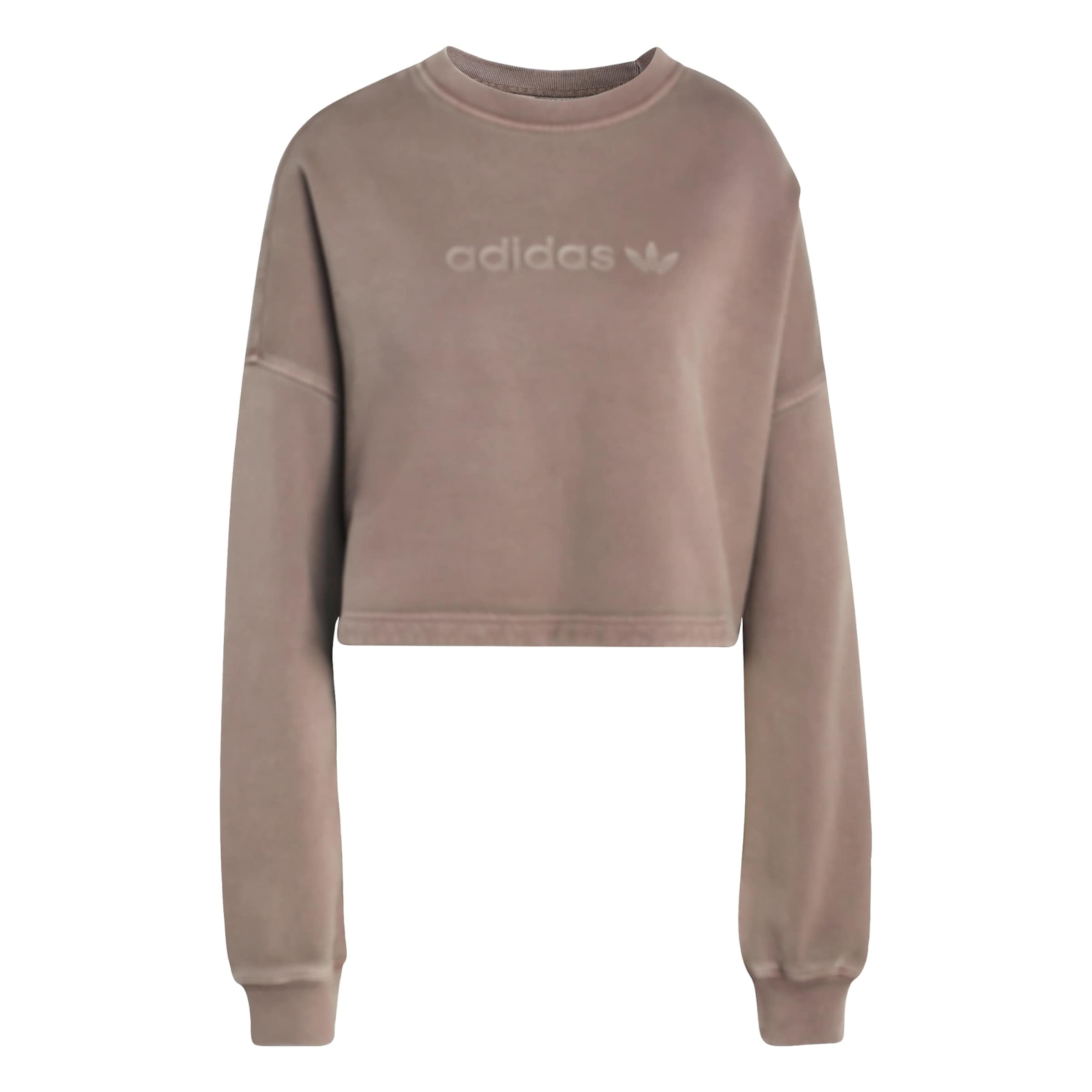 Sweat-shirt 'Essentials' ADIDAS ORIGINALS en marron : devant
