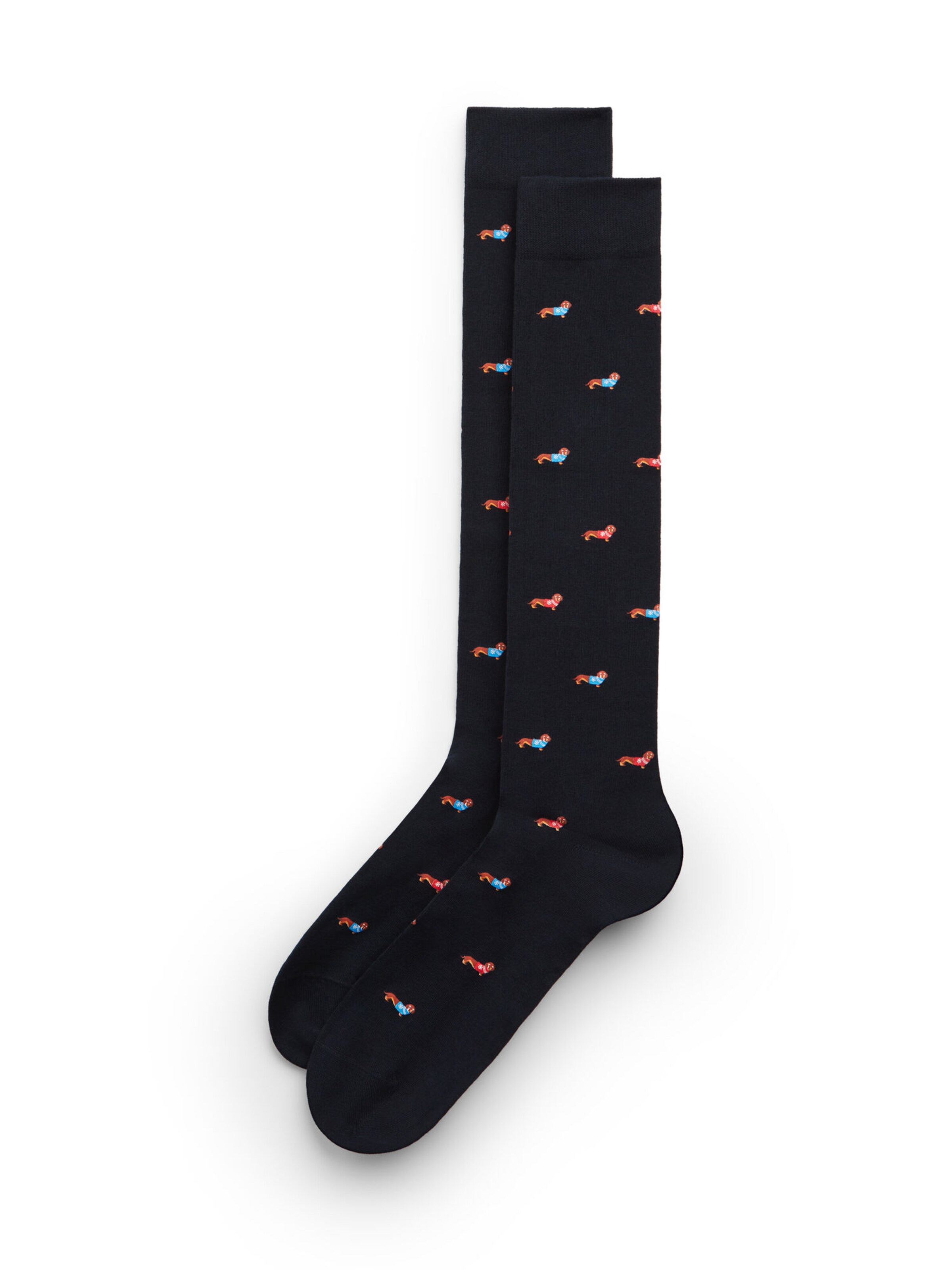 IUMAN Intimissimi Uomo Socks in Blue: front