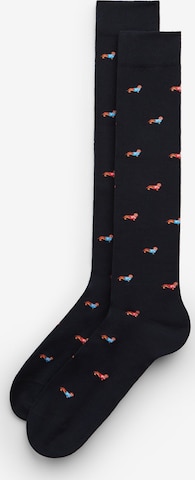 INTIMISSIMI Socken in Blau: Vorderseite