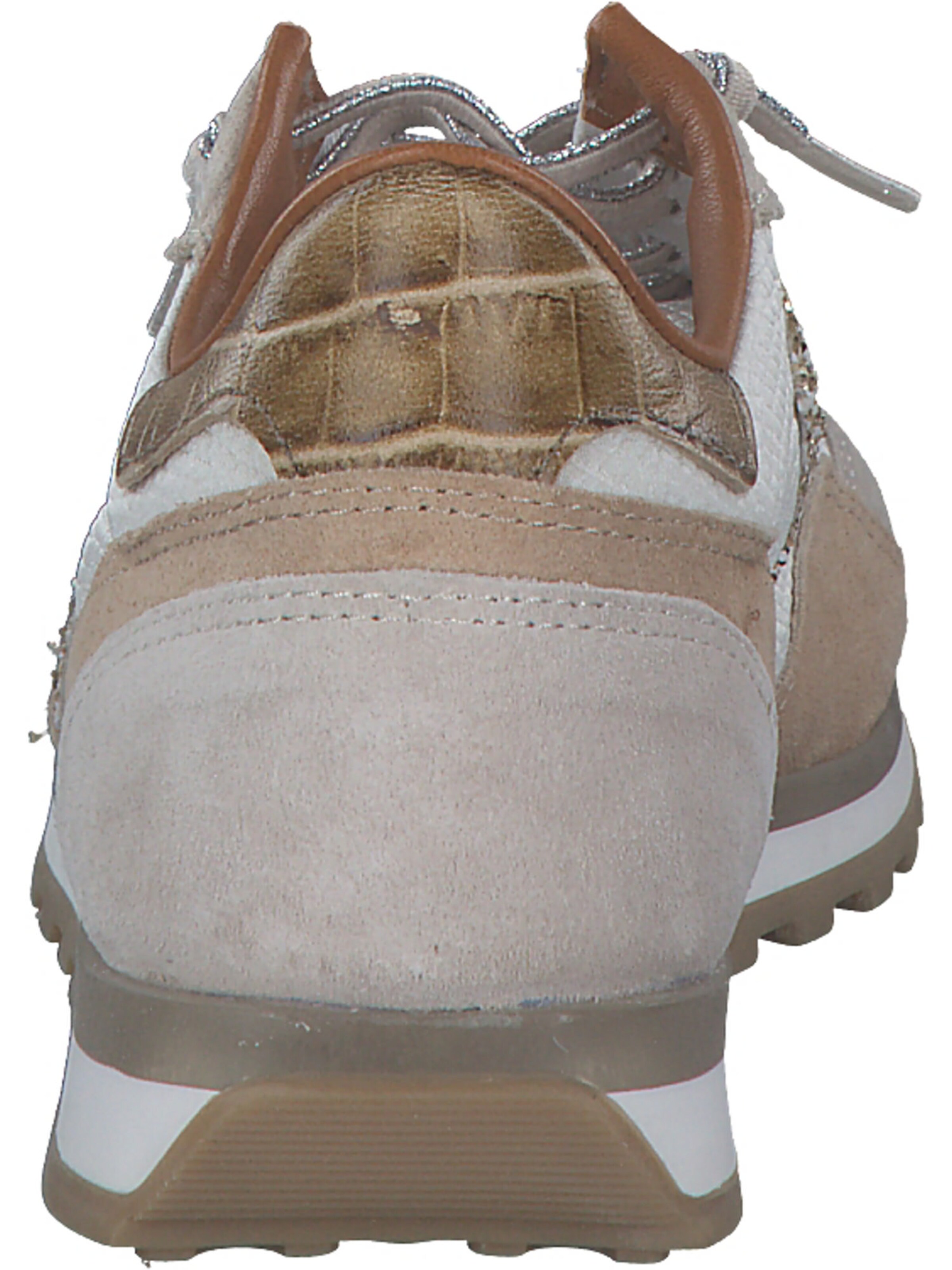 Cetti Sneakers in Beige