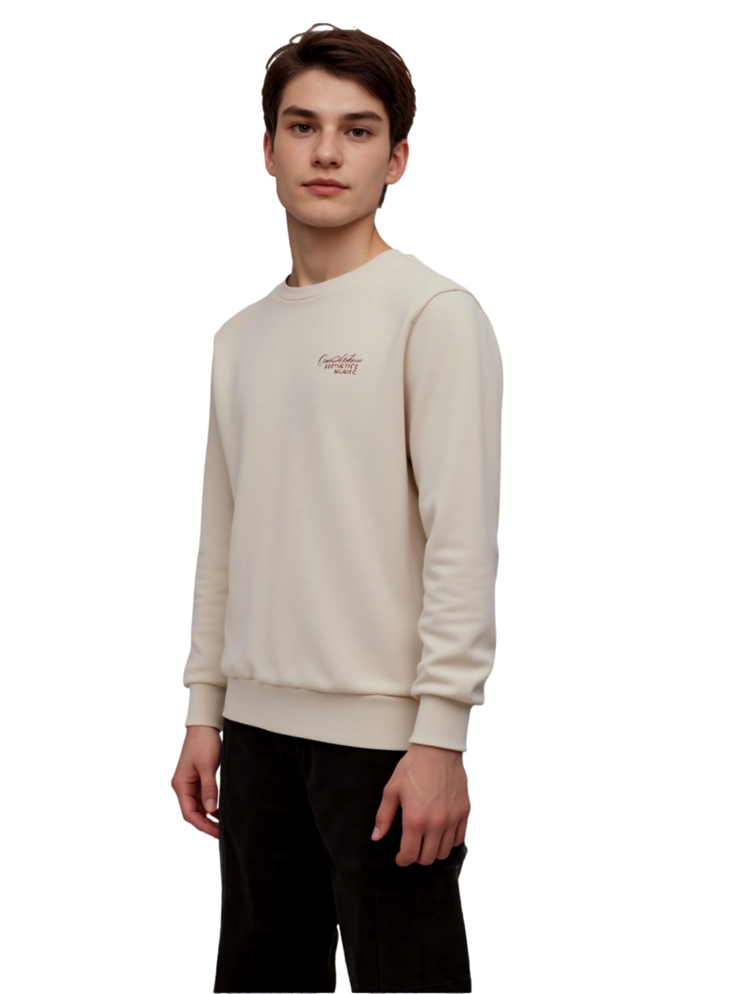 Sweat 'Roar' Jack & Jones Junior en beige : devant