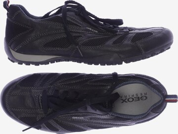GEOX Sneakers & Trainers in 41 in Black: front