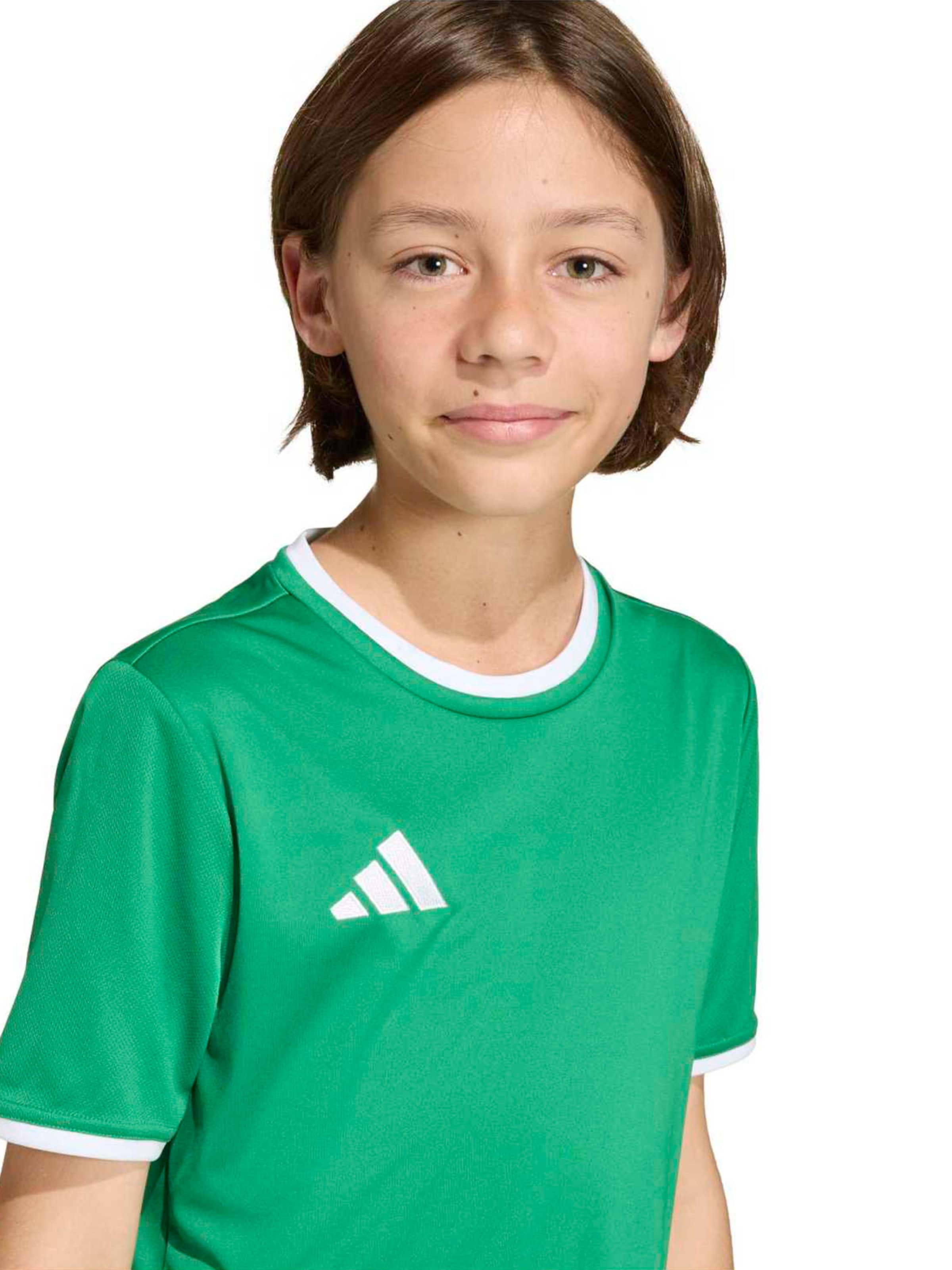 žalia ADIDAS PERFORMANCE Sportiniai marškinėliai 'ENT26'