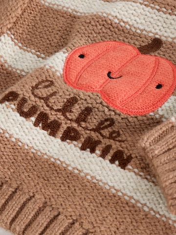 Pullover 'Halloween' di Next in marrone
