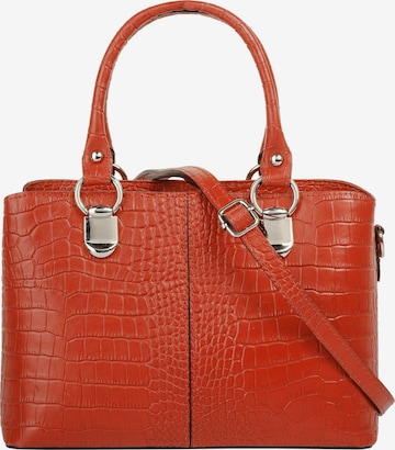 Cluty Crossbody Bag in Orange: front