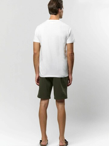 U.S. POLO ASSN. Regular fit Overhemd ' Arjun 3-pack ' in Groen