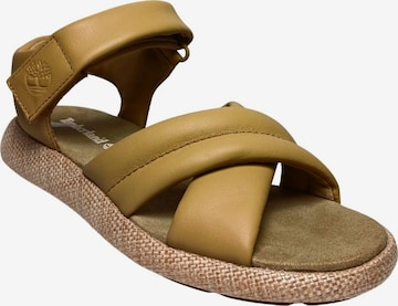 Sandalo di TIMBERLAND in beige: frontale