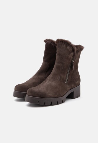 Bottines GABOR en marron