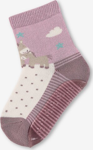 STERNTALER Socks in Pink