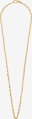 Orelia Necklace in Gold: front