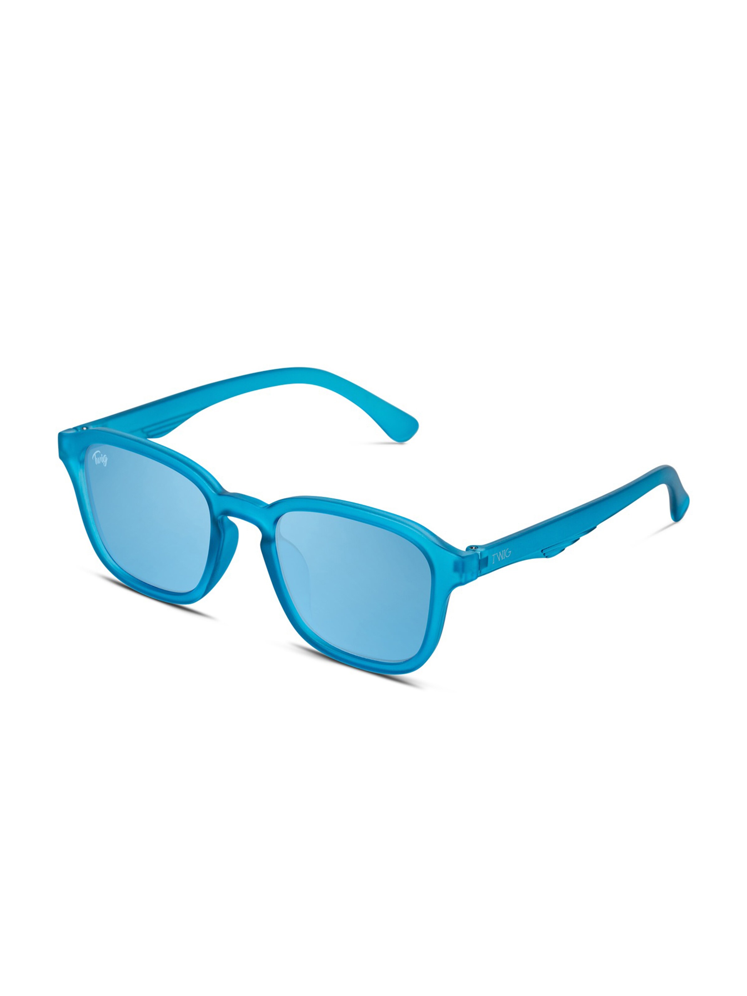 TWIG Concept Milano Sonnenbrille 'Koons'‌‌‌ in Blau: Vorderseite