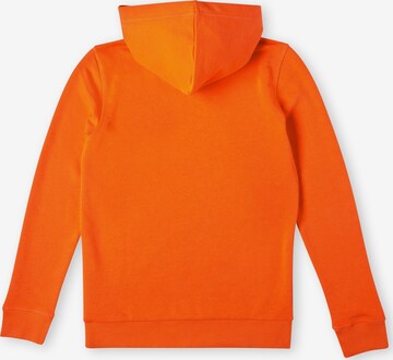 O'NEILL Sweatshirt 'Cube' i orange