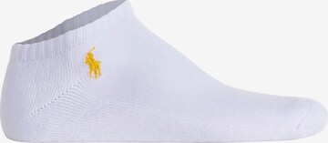 Polo Ralph Lauren Sockor i vit