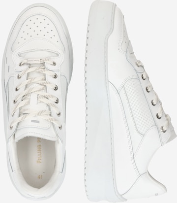 Filling Pieces - Sapatilhas baixas 'Avenue Crumbs' em branco