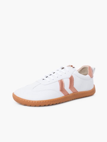 Pisamonas Sneakers in Bruin: voorkant