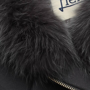 Herno Jacket & Coat in M in Grey