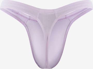 Olaf Benz Panty ' RED2331 Ministring ' in Purple