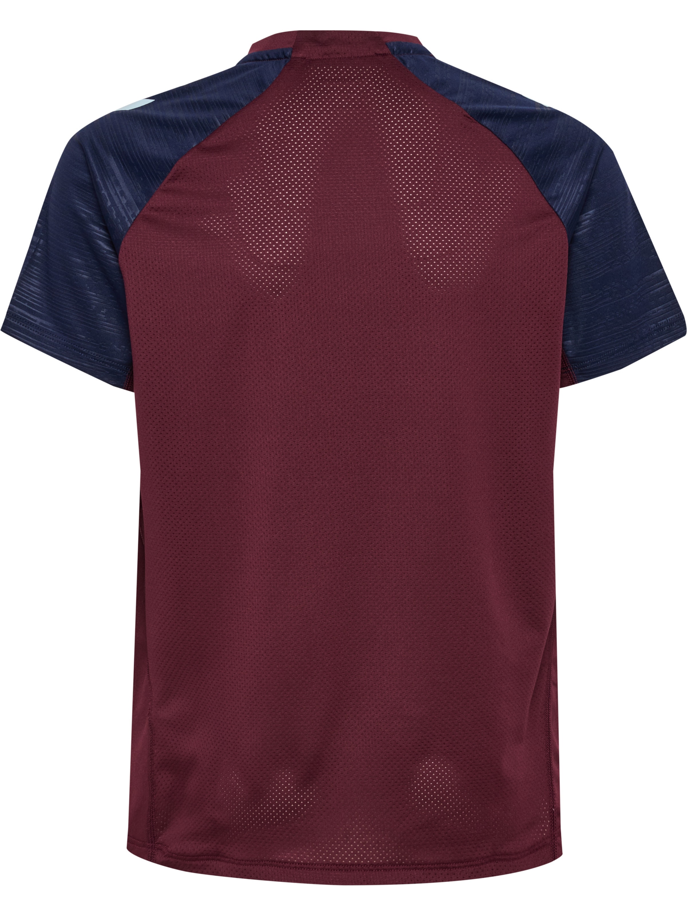 Hummel Performance shirt 'DBU 26 Pro' in Red