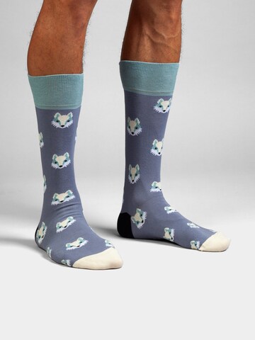 DillySocks Socken in Mischfarben: Vorderseite