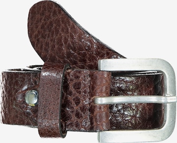 JP1880 Belt in Brown: front