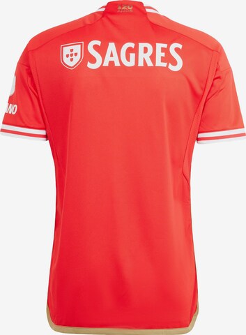 ADIDAS PERFORMANCE Jersey 'Benfica Lissabon 23/24' in Red