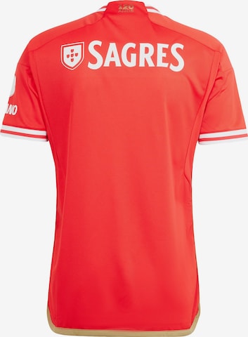 ADIDAS PERFORMANCE Trikot 'Benfica Lissabon 23/24' in Rot